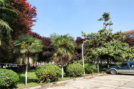 华都富林北区，套三双卫，带33平车库